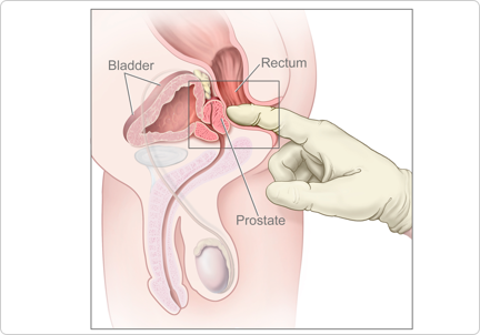 Жыныстық қатынастың қандай түрлері бар?